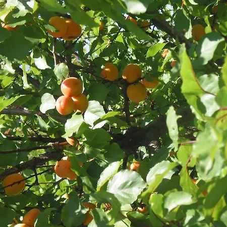 Oasi Di Pace Ca' Del Sale Ameglia