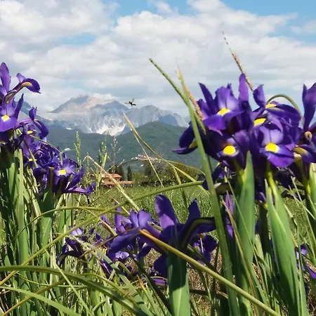 Oasi Di Pace Ca' Del Sale * Ameglia