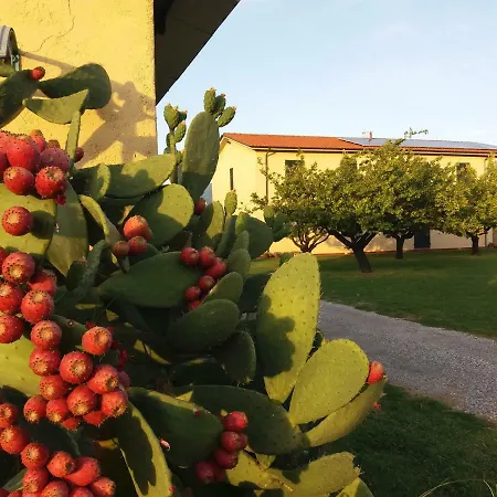 Oasi Di Pace Ca' Del Sale Ameglia